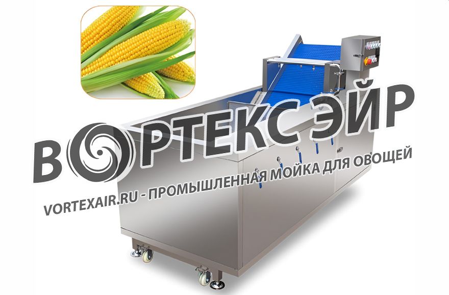 Купить промышленную мойку овощей для пищевых предприятий