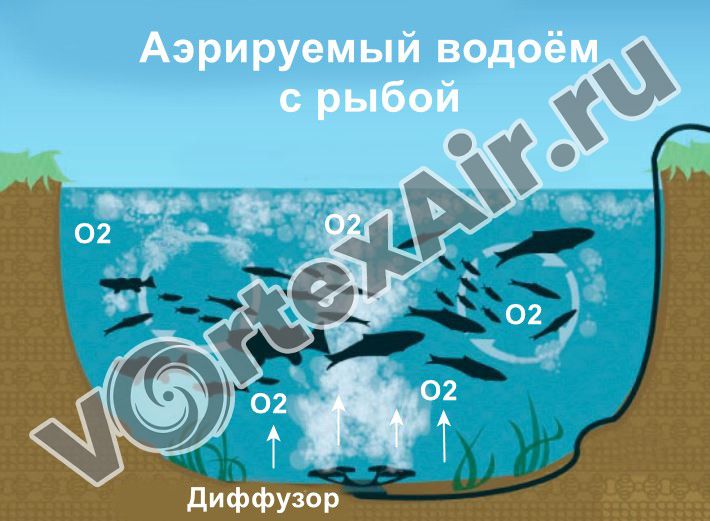 Система аэрации водоёмов с рыбой — вихревые воздуходувки
