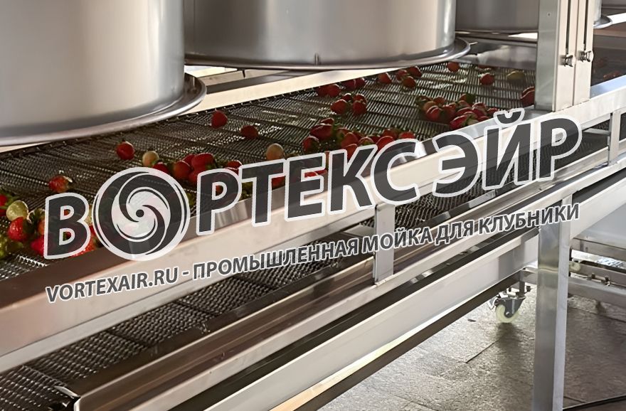 Купить мойку для клубники — промышленные машины и линии мойки ягод