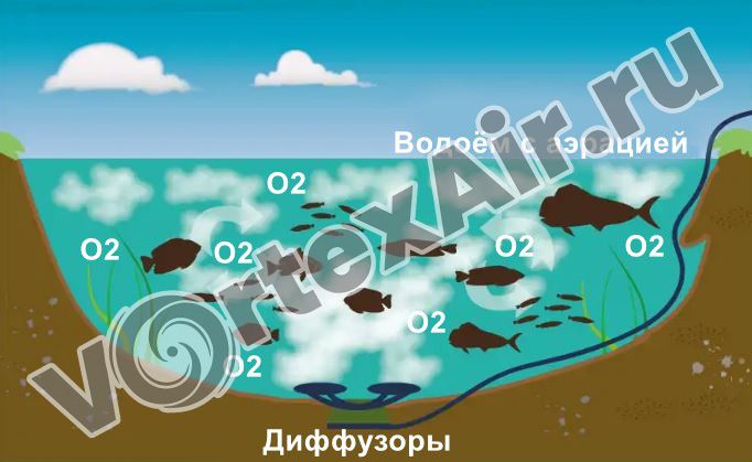 Аэрация рыбных ферм вихревыми воздуходувками. Полная комплектация оборудования