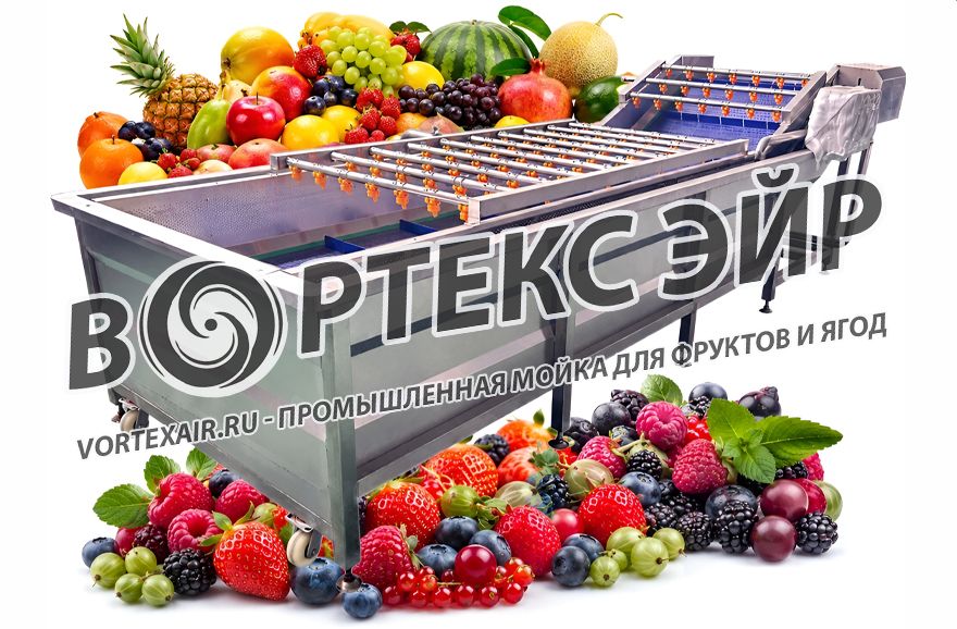 Купить промышленную мойку для ягод и фруктов