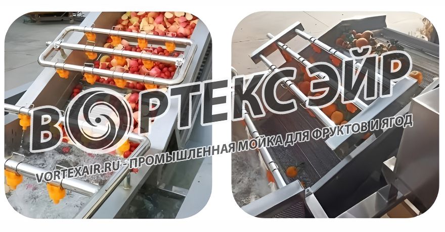 Купить промышленную мойку для ягод и фруктов