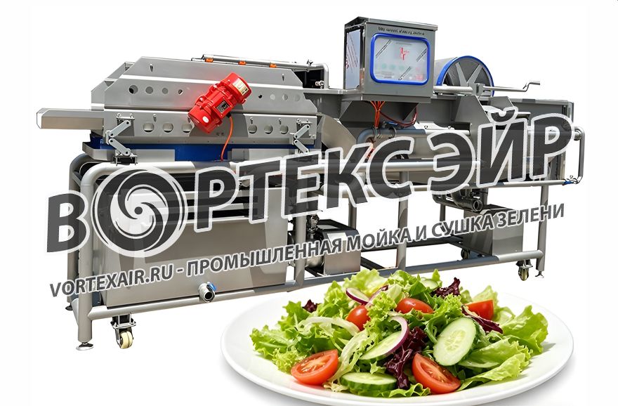 Промышленная мойка и сушка зелени. Разработка и поставка оборудования