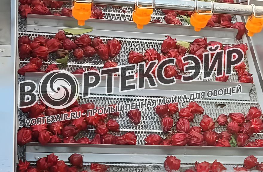 Купить промышленную мойку овощей для пищевых предприятий