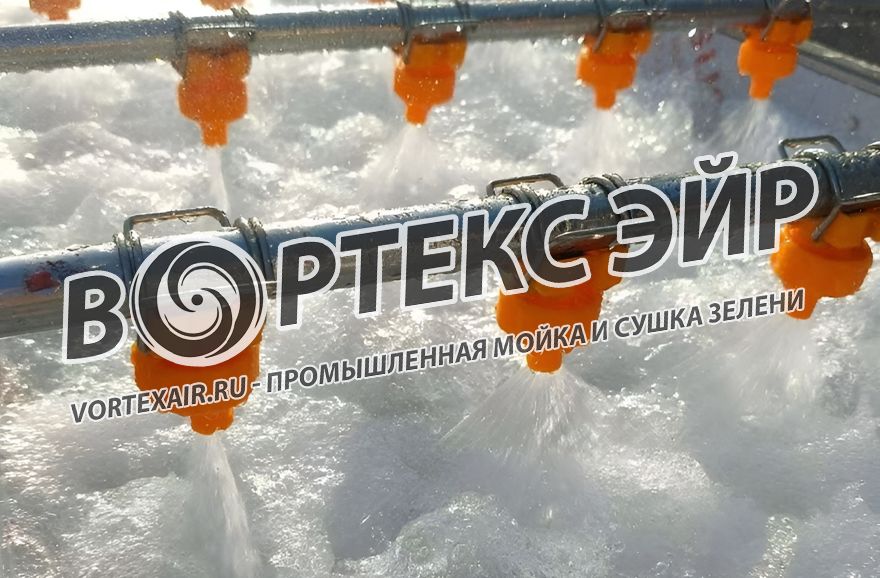 Промышленная мойка и сушка зелени. Разработка и поставка оборудования