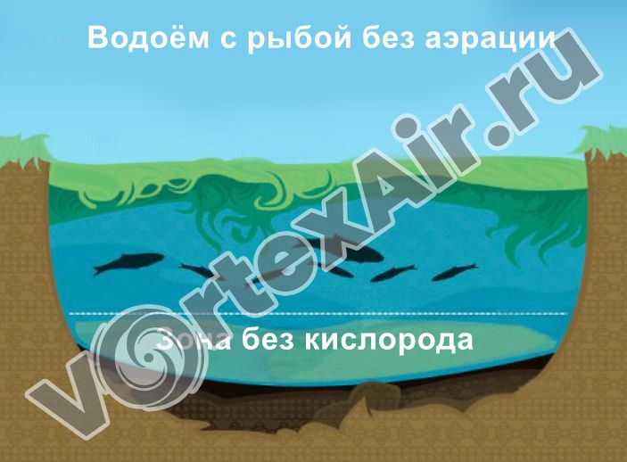 Система аэрации водоёмов с рыбой — вихревые воздуходувки